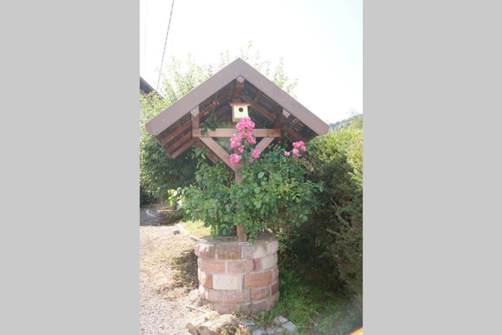 Lullaby House - Large, Full Comfort 5 Star Chalet House In The Vosges Ramonchamp المظهر الخارجي الصورة